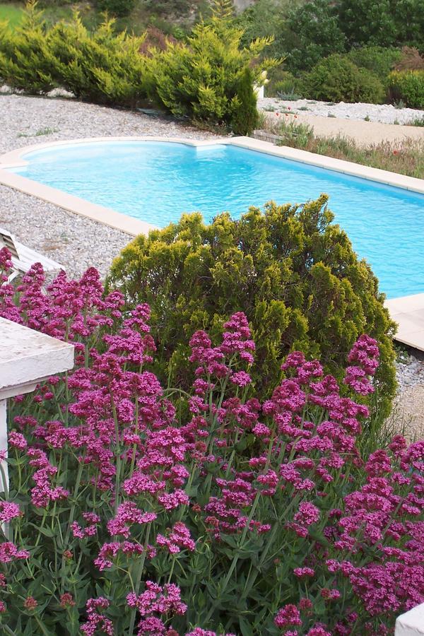 Bed and Breakfast L'Ensoleillee Rosans Экстерьер фото
